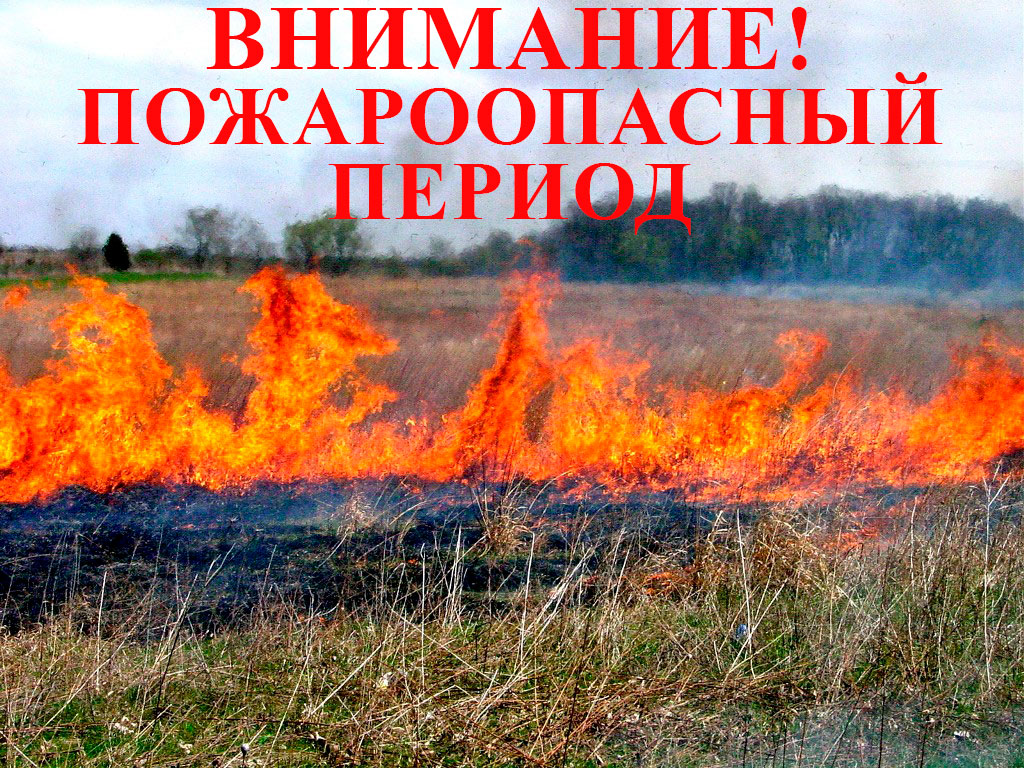 О начале пожароопасного сезона 2024 года в лесах Кировской области.